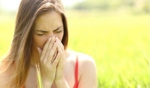 Read more about the article Spring and Summer Allergies