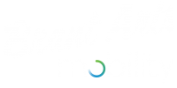 BAM Logo Transparent-01
